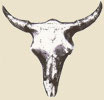 Metal Bull Skull